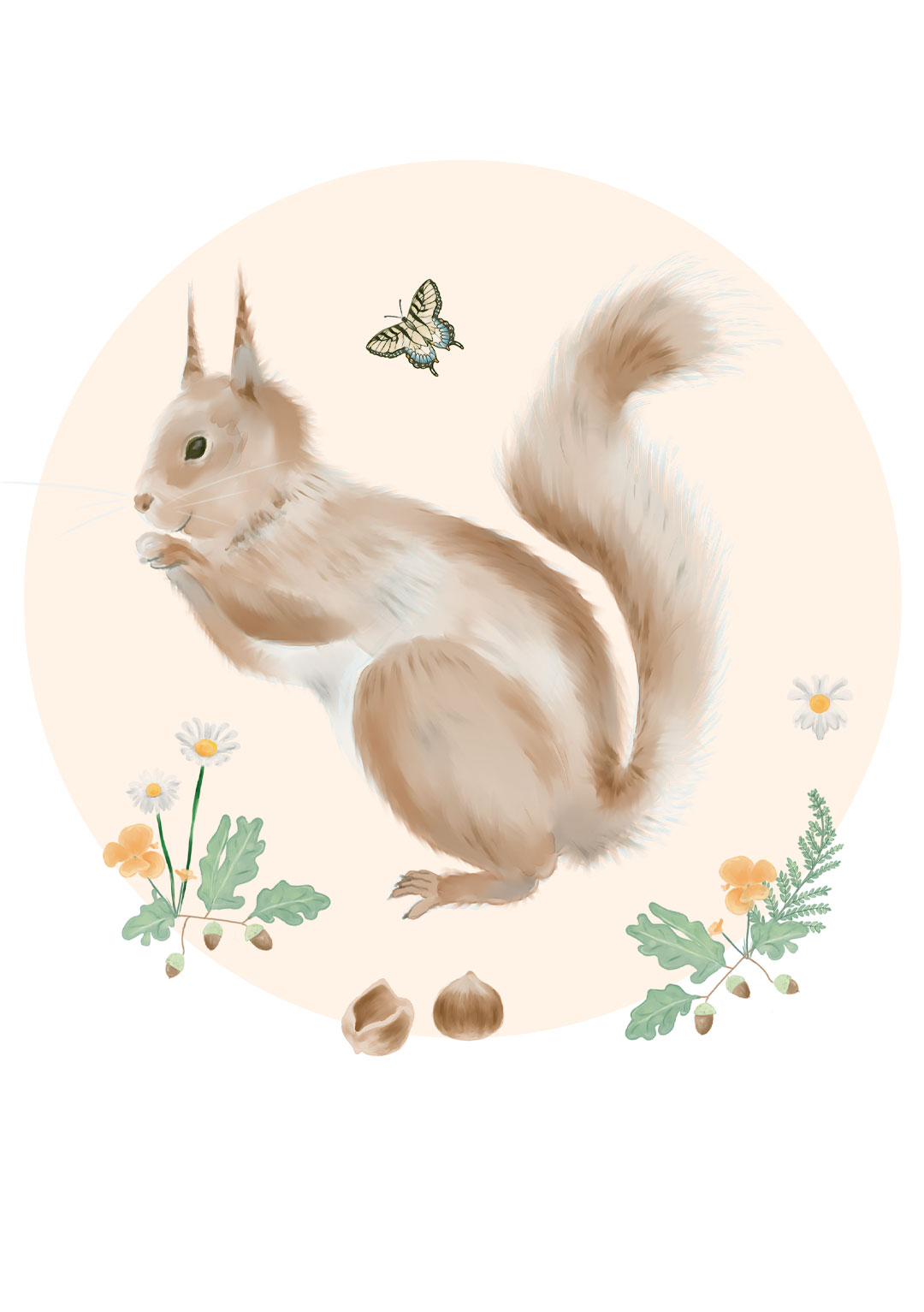 ecureuil-animal-illustration-elizabeth-duerre