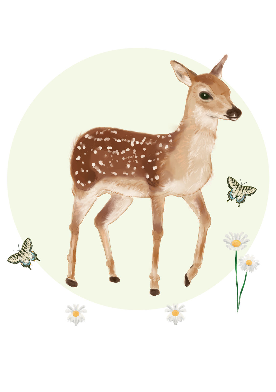 faon-animal-illustration-elizabeth-duerre