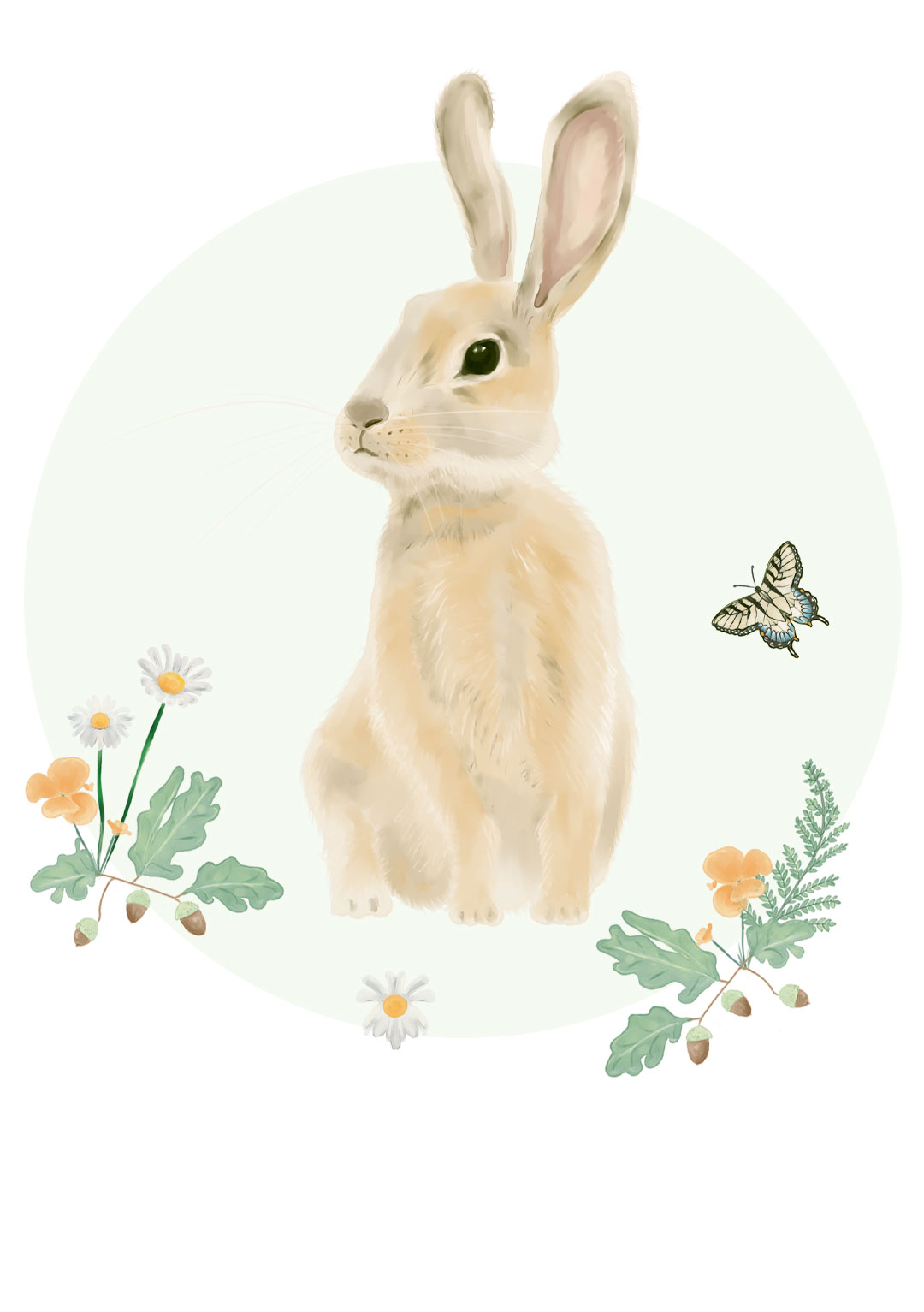 lapin-animal-illustration-elizabeth-duerre